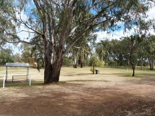 Narrabri Big Sky Caravan Park Bagian luar foto